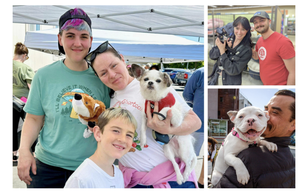Collage with pet families attending our mobile pet wellness clinic